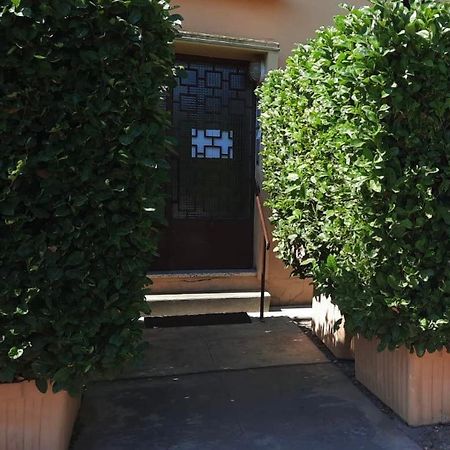 Charmant Logement Climatise Proche Centre Et Plage Leilighet Montpellier Eksteriør bilde
